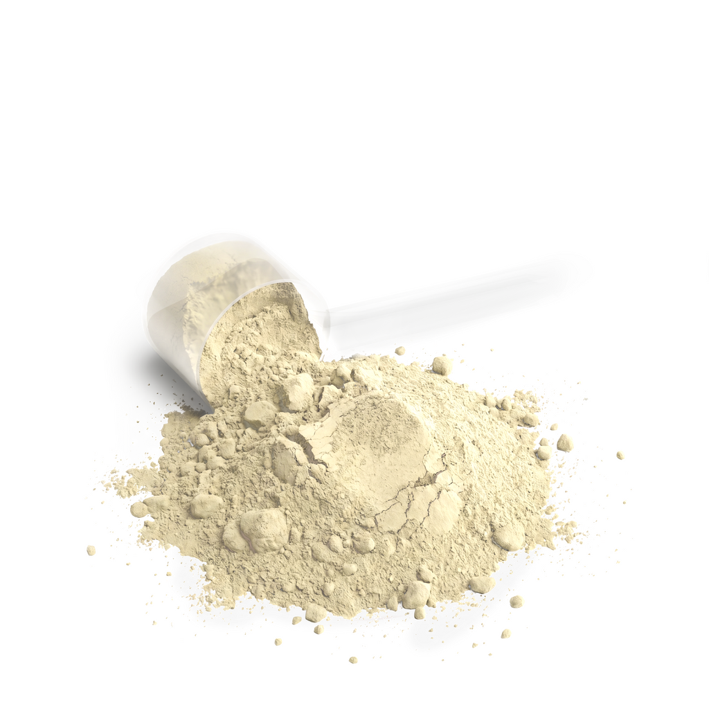 Performance Whey Protein Blend (Vanilla) additional packaging view
